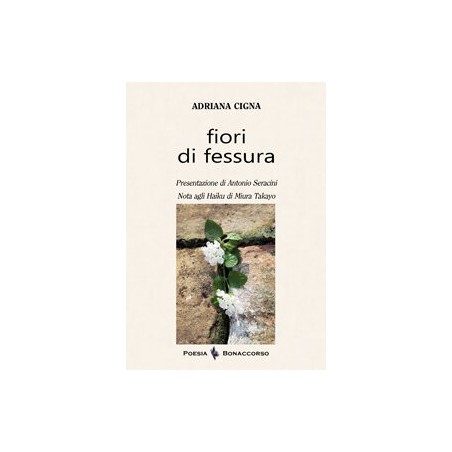 FIORI DI FESSURA - di Adriana Cigna
