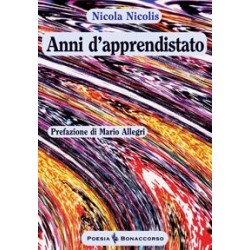 ANNI D'APPRENDISTATO  di Nicola Nicolis