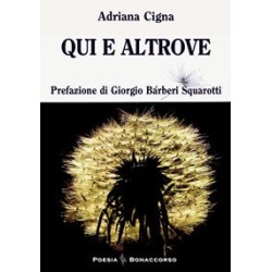 QUI E ALTROVE  di Adriana Cigna