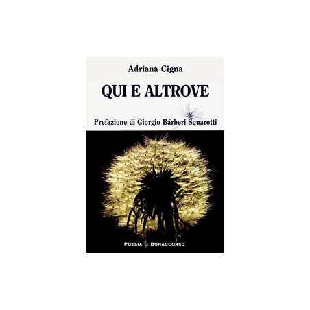 QUI E ALTROVE  di Adriana Cigna